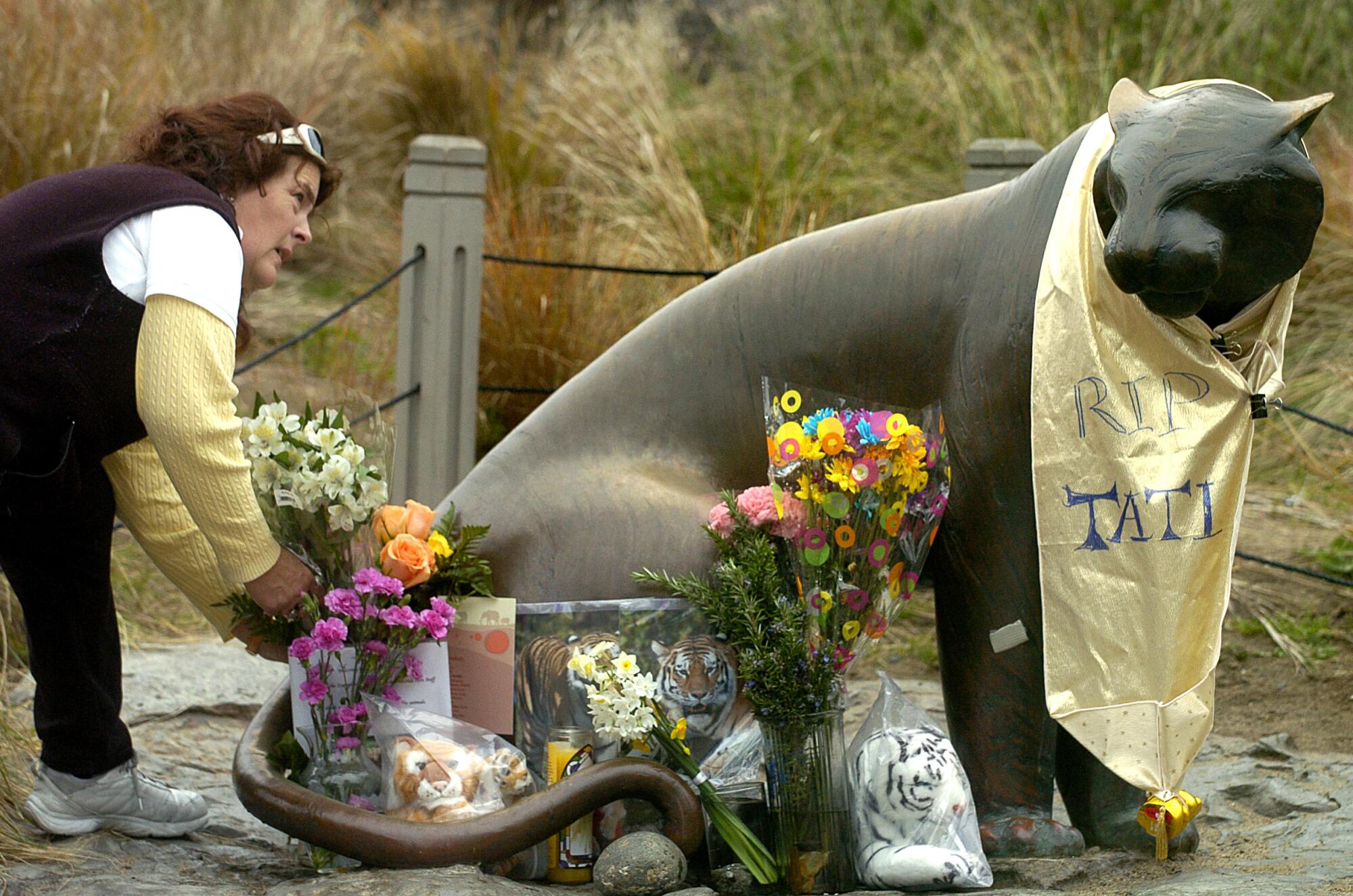 Jan. 2008 photo of Mary Ryan, a San Francisco Zoo employee, arranging a makeshift memorial to Tatiana the tiger.
